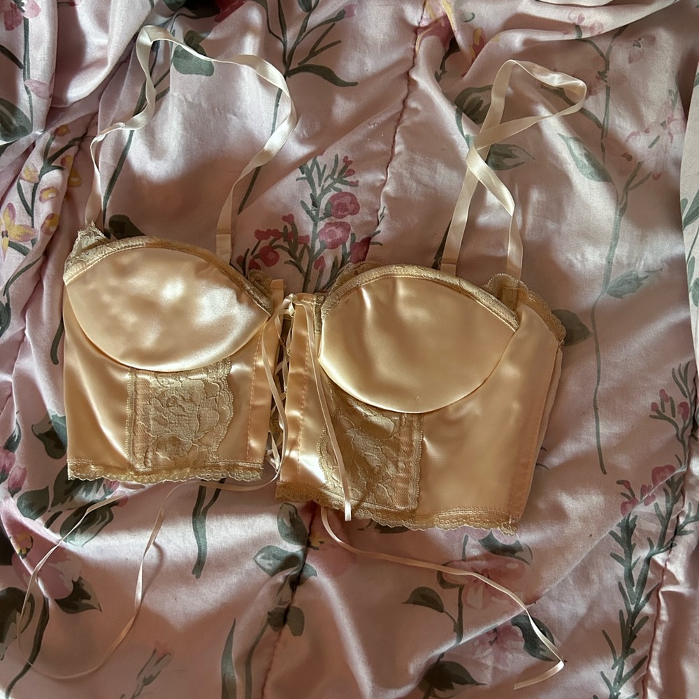 Vintage Fredricks Of Hollywood Silk Bustier